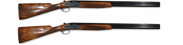 Renato Menegon parbössor