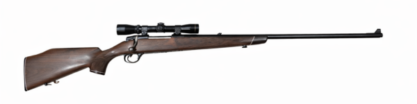 Carl Gustaf 1900 Lyx