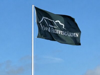 flag-400x300